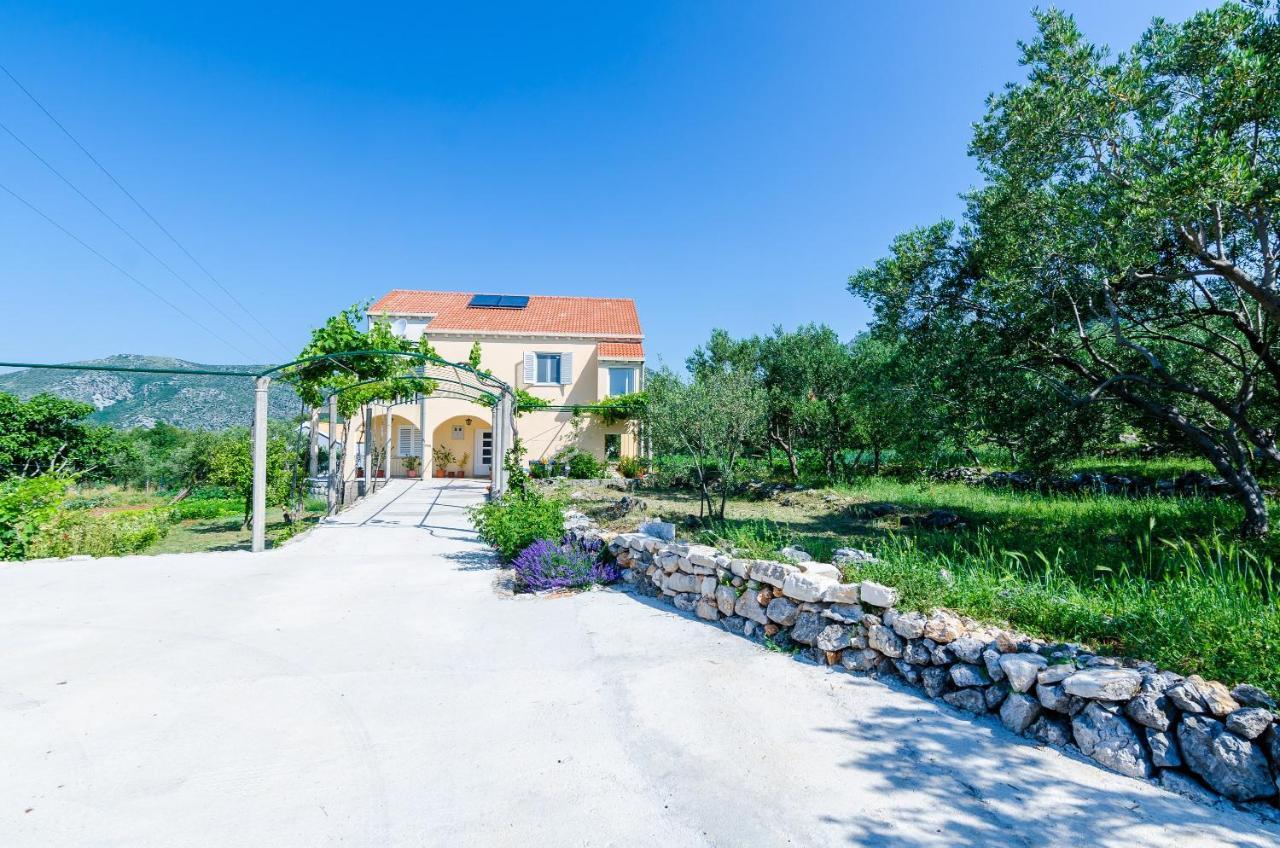 Apartment & Rooms Mazdin Banići 外观 照片